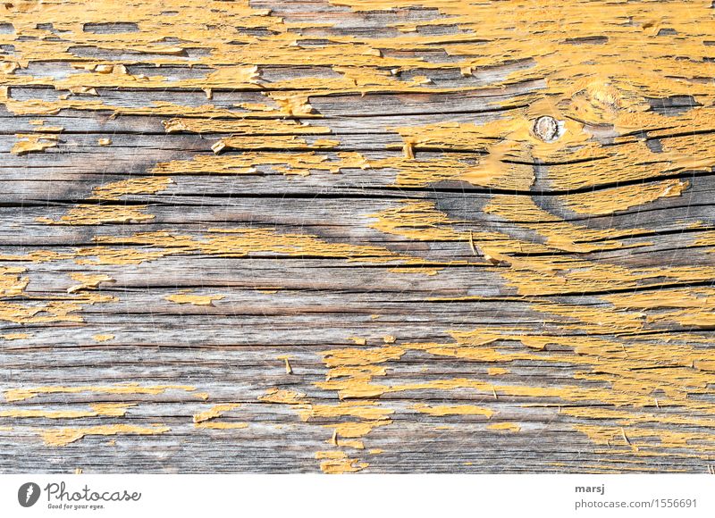 Zu spät Farbstoff gelb Maserung Hintergrundbild Holz alt hässlich Wandel & Veränderung Riss abgelebt Patina Astloch abgewittert Verfall Farbfoto Gedeckte Farben