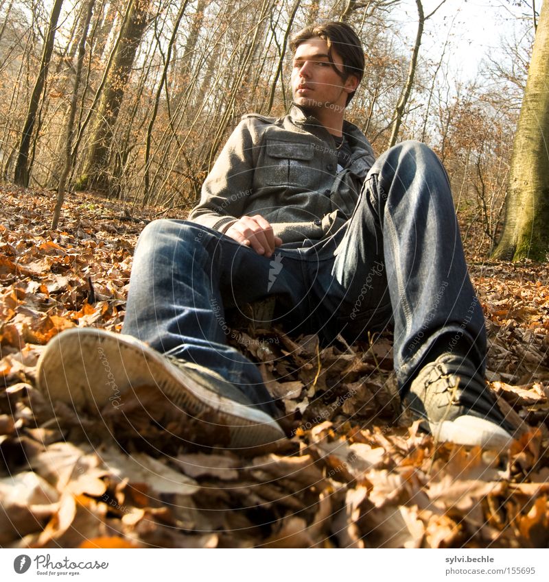 relax! Erholung Freiheit maskulin Junger Mann Jugendliche Natur Herbst Baum Blatt Wald Schuhe brünett genießen sitzen frei braun lässig Jeanshose Farbfoto