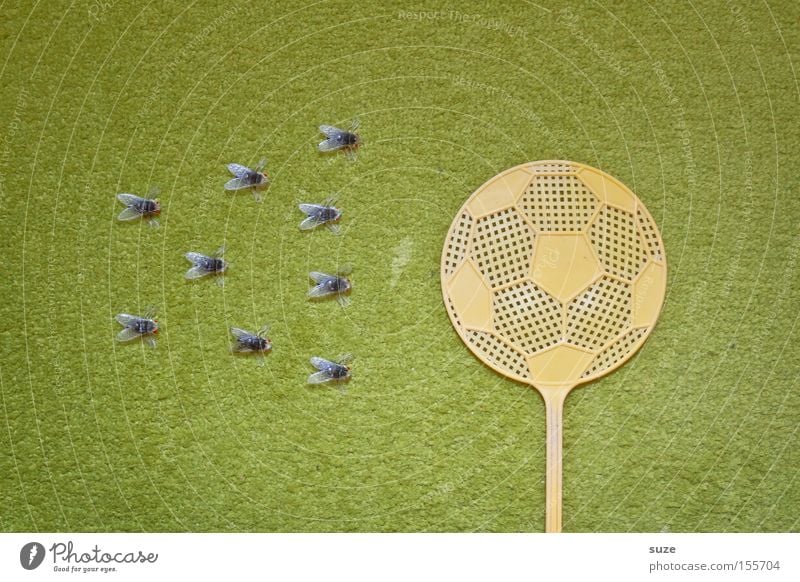 Viererkette Fußball Ball Fliege Kunststoff außergewöhnlich lustig grün Freude Teppich Anordnung Insekt Fliegenfalle Vogelperspektive Kreativität