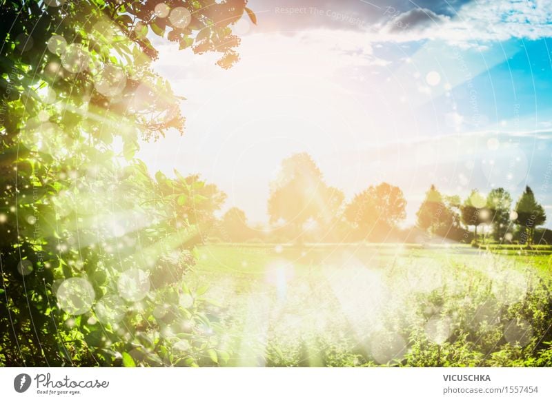Sommer Natur Hintergrund mit Sonnenstrahlen . Lifestyle Design Garten Himmel Sonnenlicht Frühling Schönes Wetter Park Wiese Feld springen Stil Hintergrundbild