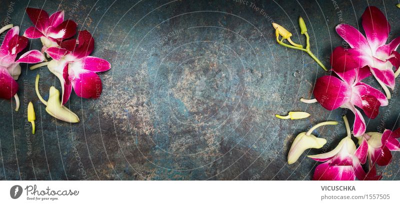 Rustikaler Hintergrund mit Orchideenblüten Stil Design Wellness Wohlgefühl Sinnesorgane Erholung Meditation Duft Spa Massage Natur Pflanze Blume Blatt Blüte
