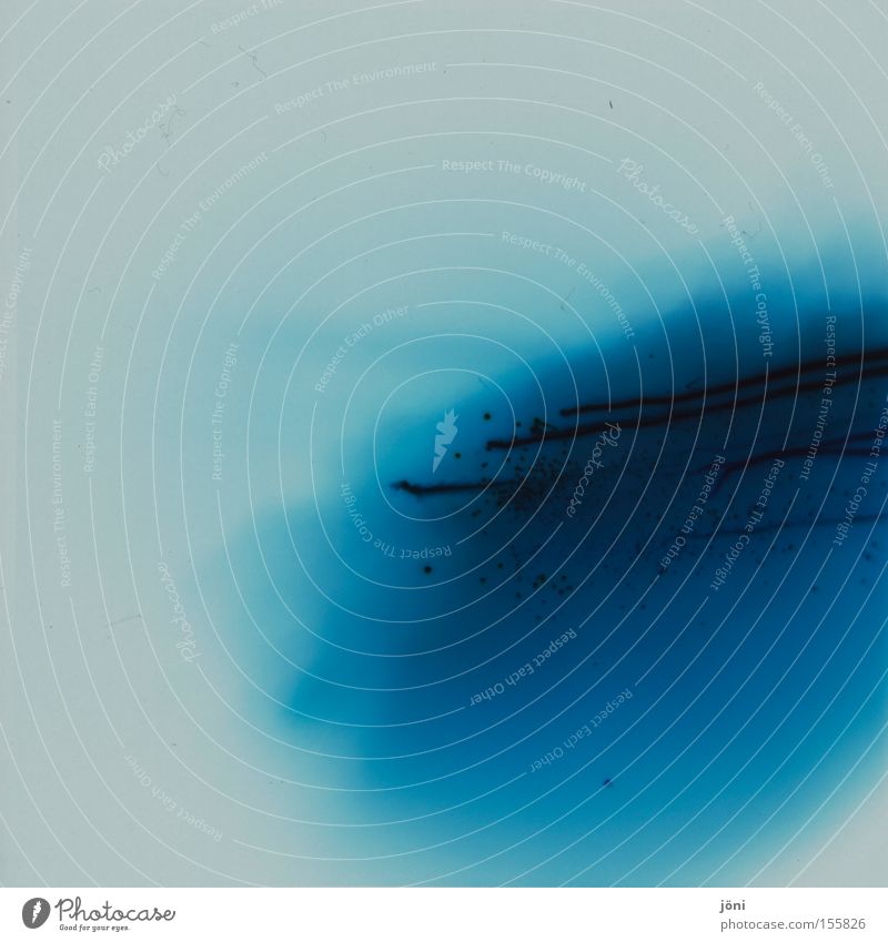 blaues Blut Verlauf Wasser Kunst Experiment Lomografie Holga Mittelformat fließen Farbe Fleck Wassertropfen Chemie Moderne Kunst Schmiererei