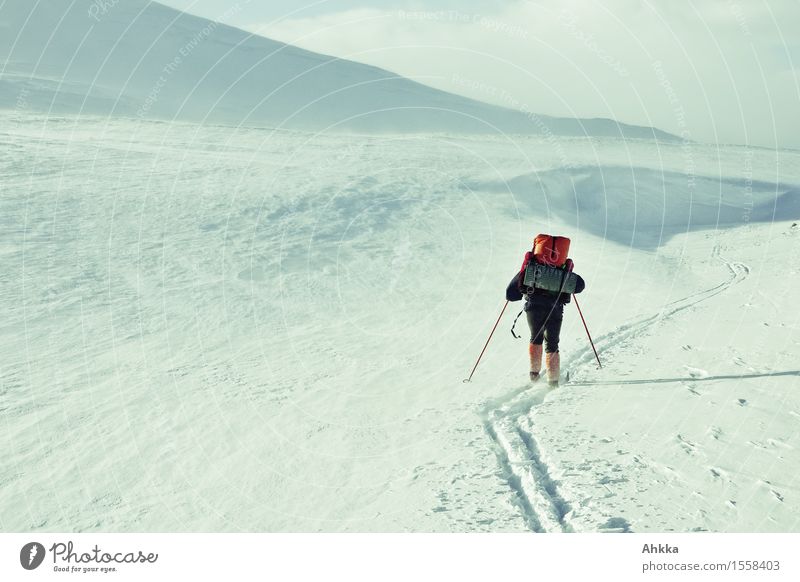 Skiwanderer in karger Winterlandschaft, in einer Skispur fahrend Abenteuer Winterurlaub Skifahren 1 Mensch Schnee Berge u. Gebirge Rucksack Rucksackurlaub