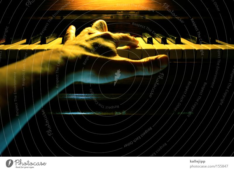 ein klavier, ein klavier Hand Finger Klavier Flügel Musik Schulunterricht Bildung Klassik Rockmusik Musiknoten Notenblatt Composing Geschicklichkeit Licht