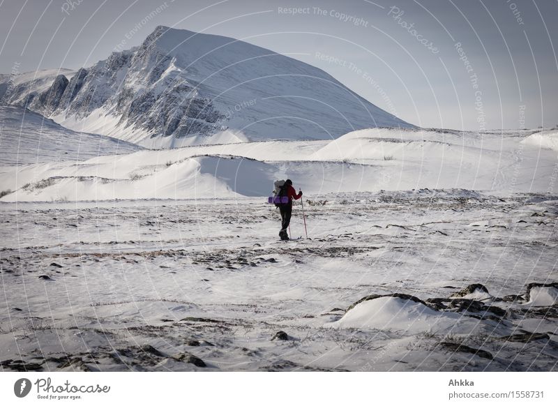 Skiwanderer in winterlicher Berglandschaft Norwegens Wintersport Skifahren 1 Mensch Landschaft Schnee Berge u. Gebirge Schneebedeckte Gipfel Abenteuer