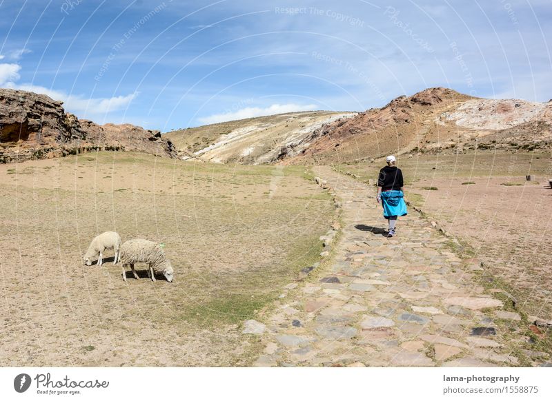 Isla del Sol Ferien & Urlaub & Reisen Tourismus Ausflug Abenteuer Ferne wandern Junge Frau Jugendliche 1 Mensch Landschaft Insel Titicacasee Bolivien Südamerika