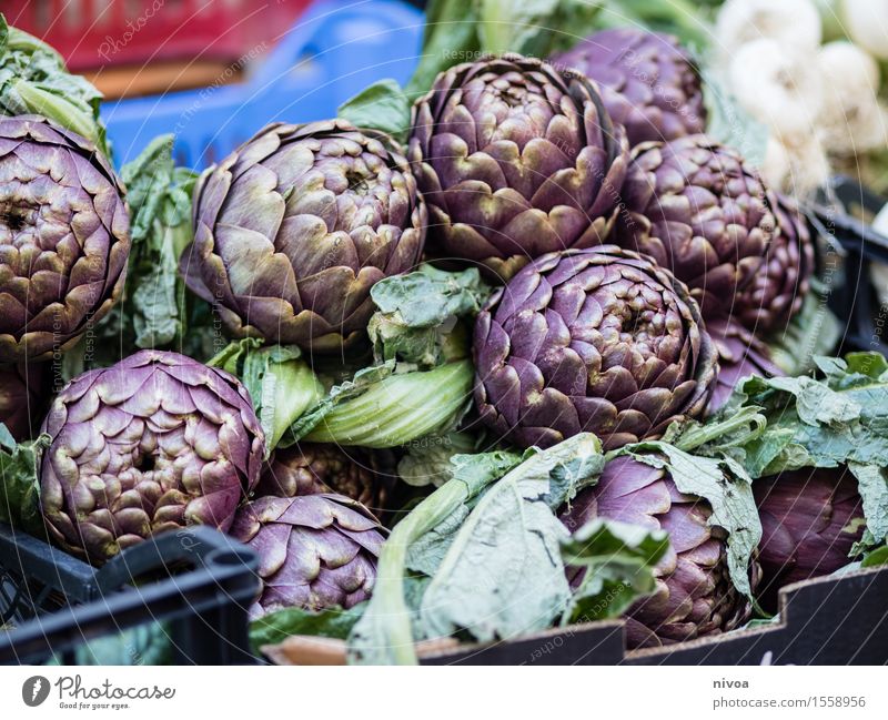 Artischocken Lebensmittel Gemüse Ernährung Mittagessen Bioprodukte Slowfood Italienische Küche Landwirtschaft Forstwirtschaft Handel Natur Pflanze Nutzpflanze