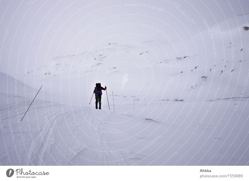 Winterwetter, ein Skiwanderer folgt einer markierten Loipe durch eine verschneite Berglandschaft Abenteuer Ferne Winterurlaub Wintersport Skifahren 1 Mensch