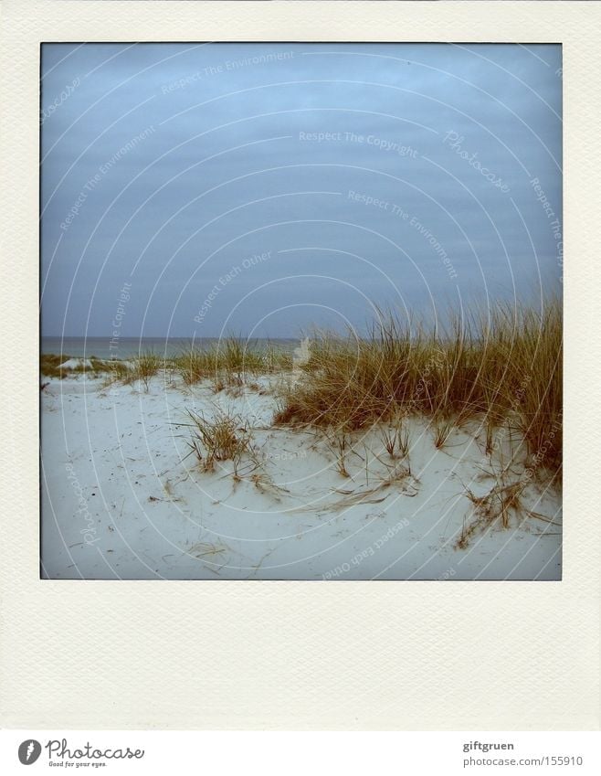 dune du pola Meer Küste Sand Strand Ostsee Prerow Darß Horizont Himmel Ferien & Urlaub & Reisen Erholung ruhig Polaroid Erde Stranddüne