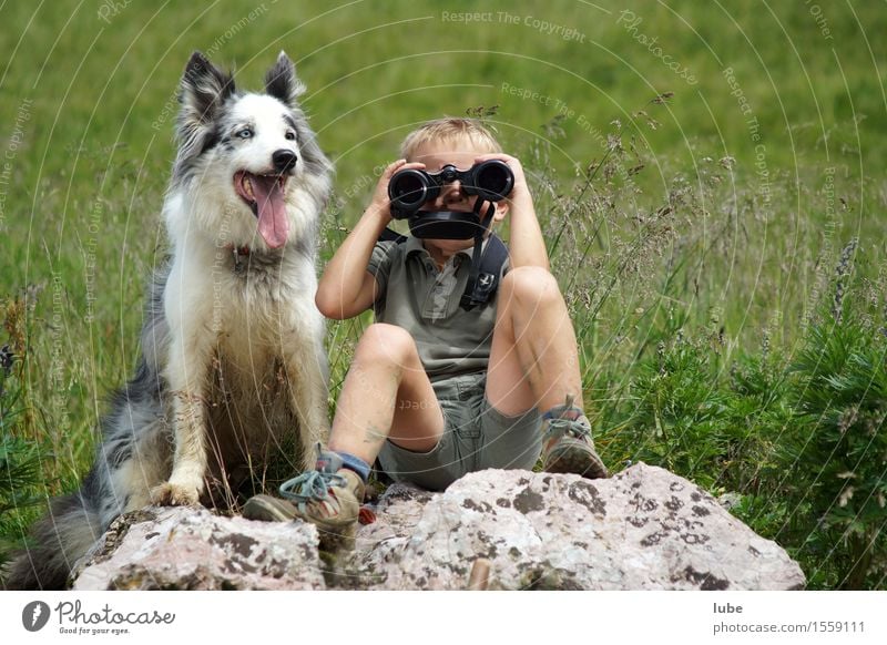 Aufsichtspersonal 1 Mensch 3-8 Jahre Kind Kindheit Tier Haustier Nutztier Hund Fernglas Blick achtsam Wachsamkeit Zusammenhalt Vogelperspektive Kontrolle Ferne