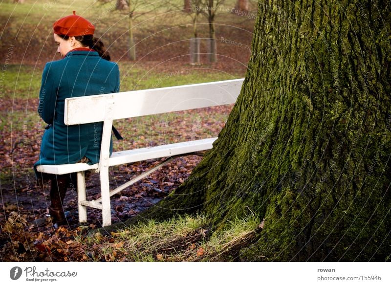 moment im park Park Parkbank sitzen Frau Denken ruhig Erholung Baum Herbst kalt Trauer Einsamkeit Garten nachdenken Traurigkeit