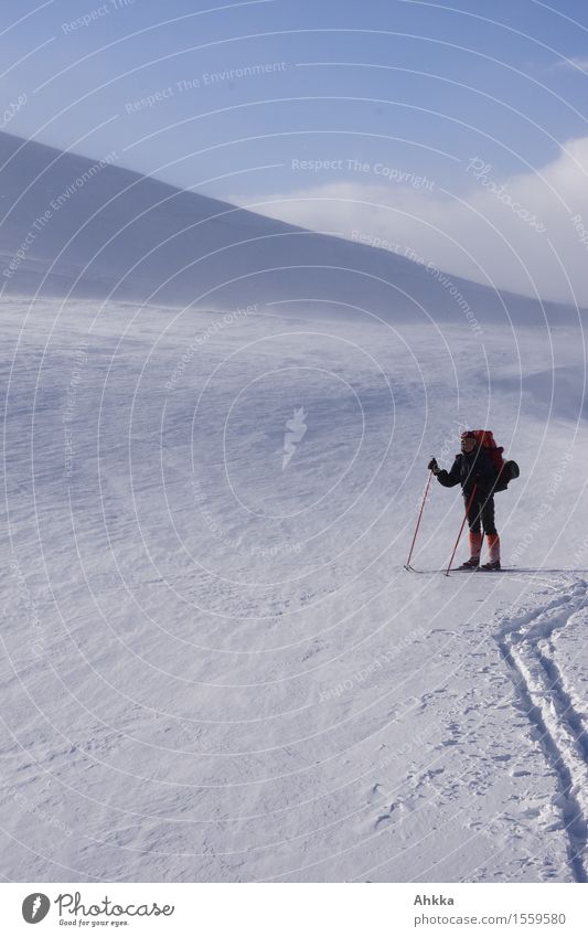 Junge Skifahrerin neben der Spur in unberührter karger Winterlandschaft auf Wanderschaft ruhig Abenteuer Schnee Winterurlaub Wintersport Skifahren Mensch 1