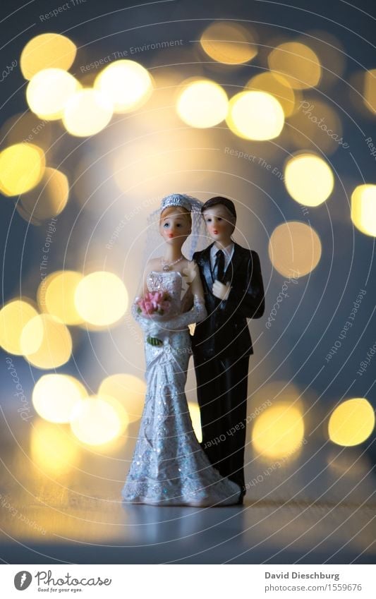 Zweisam Feste & Feiern Hochzeit Frau Erwachsene Mann Paar Partner Körper 2 Mensch Kleid Anzug Freude Glück Fröhlichkeit Zufriedenheit Lebensfreude Vertrauen