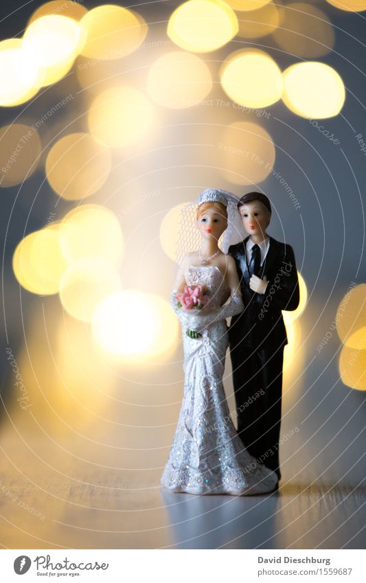 Schönster Tag Hochzeit Frau Erwachsene Mann Paar Partner Körper Frühling Sommer Kleid Anzug Glück Vertrauen Sicherheit Warmherzigkeit Zusammensein Liebe