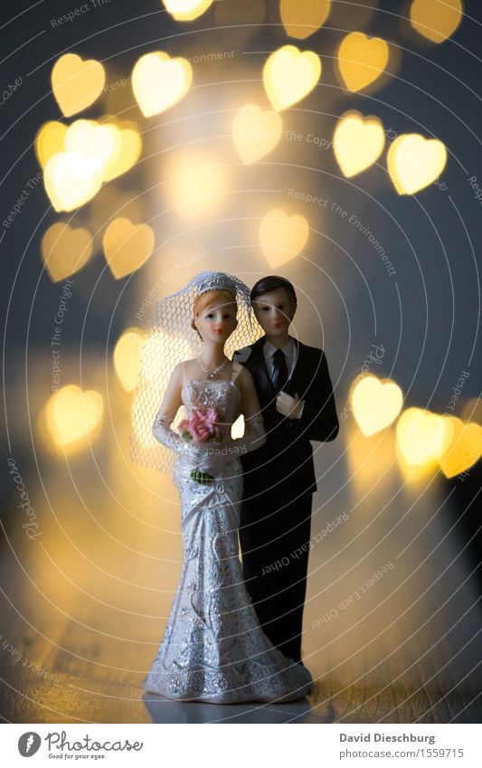 Heartbeat Hochzeit Frau Erwachsene Mann Paar Partner Körper Kleid Anzug Herz Glück Vertrauen Sicherheit Geborgenheit Zusammensein Liebe Verliebtheit Treue
