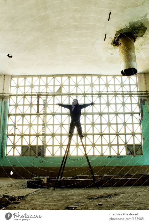 X-STANDING Fenster Glasfassade hell Saal Leiter X-Men stehen Geometrie Strukturen & Formen Linie Schatten Raum verfallen gefährlich obskur abzugsrohr