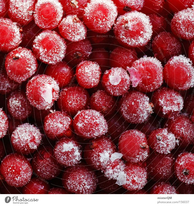 Gefrorene Johannisbeeren. Frucht Vitamin Frost lecker gefroren Farbe Farbstoff rot Vegetarische Ernährung Tiefkühlkost Gesundheit Winter frisch saftig Kraft