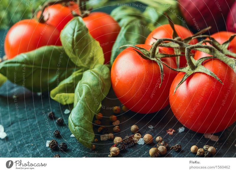 Tomate Basilikum Lebensmittel Gemüse Kräuter & Gewürze Ernährung Bioprodukte Vegetarische Ernährung Diät Italienische Küche frisch Gesundheit lecker grün rot