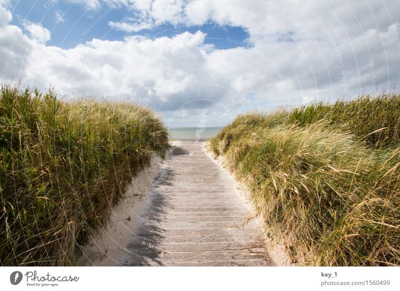 Auf zum Strand! Ferne Freiheit Sommerurlaub Meer Insel Natur Landschaft Sand Wolken Schönes Wetter Gras Küste Nordsee Föhr Erholung wandern