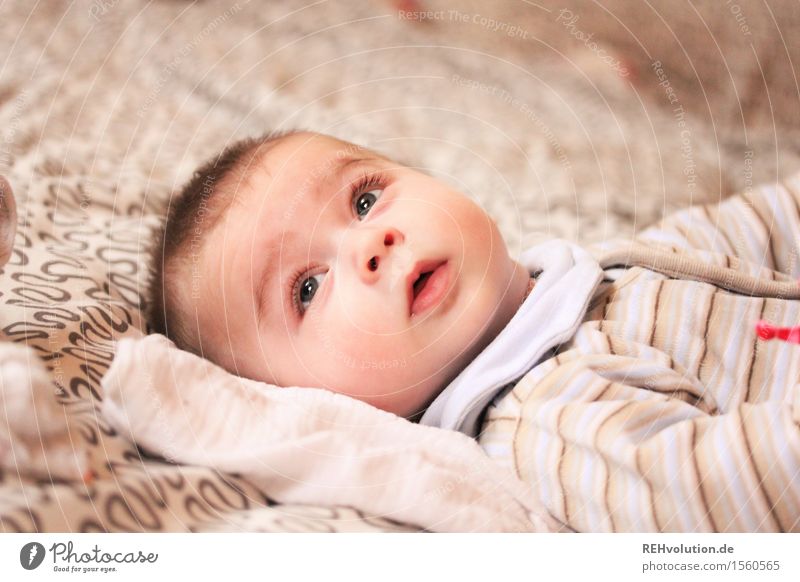 Nur der Augenblick zählt baby... Mensch maskulin Baby 1 0-12 Monate liegen braun Lebensfreude Vertrauen Geborgenheit entdecken Neugier Jugendliche klein schön