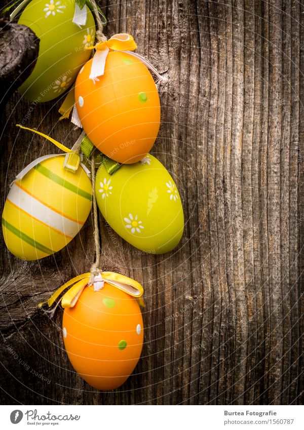 Easter is coming Ostern Holz rund schön mehrfarbig 2016 März Eier Dekoration & Verzierung Easter Eggs Außenaufnahme Nahaufnahme Menschenleer Abend Licht
