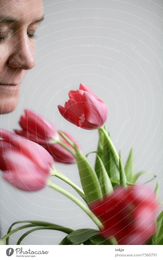 Tulpen Lifestyle Stil Freizeit & Hobby Frau Erwachsene Leben Gesicht 1 Mensch 30-45 Jahre Frühling Blumenstrauß Duft genießen Lächeln frisch hell schön rosa