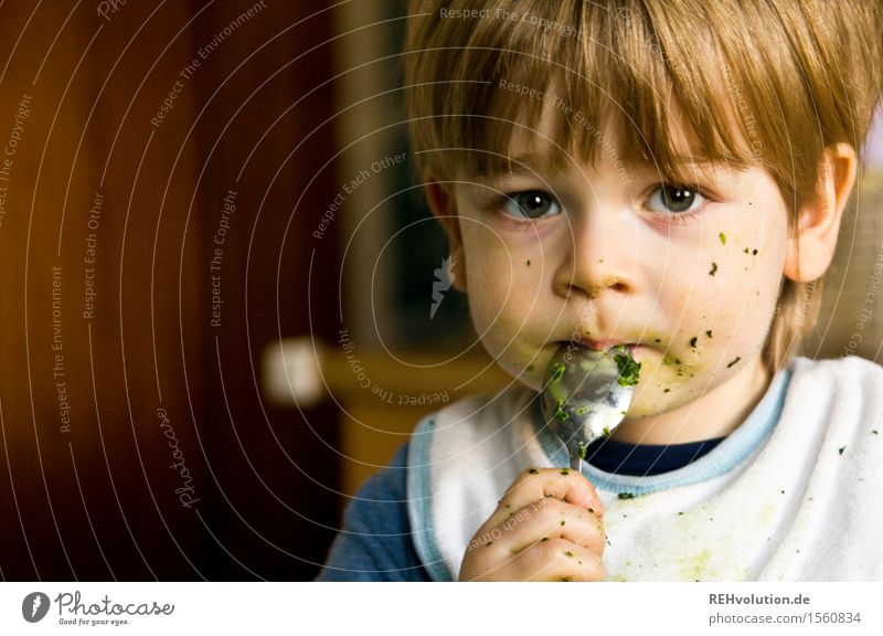 Junge isst Spinat Lebensmittel Ernährung Essen Löffel Gesunde Ernährung Mensch maskulin Kind Kleinkind Gesicht 1 1-3 Jahre dreckig Gesundheit klein niedlich