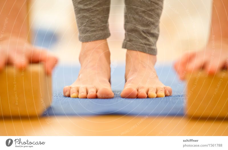 Bald hab ich den Boden... Gesundheit Leben harmonisch Wohlgefühl ruhig Meditation Freizeit & Hobby Sport Yoga Mensch Arme Hand Beine Fuß Zehen dünn Matten üben