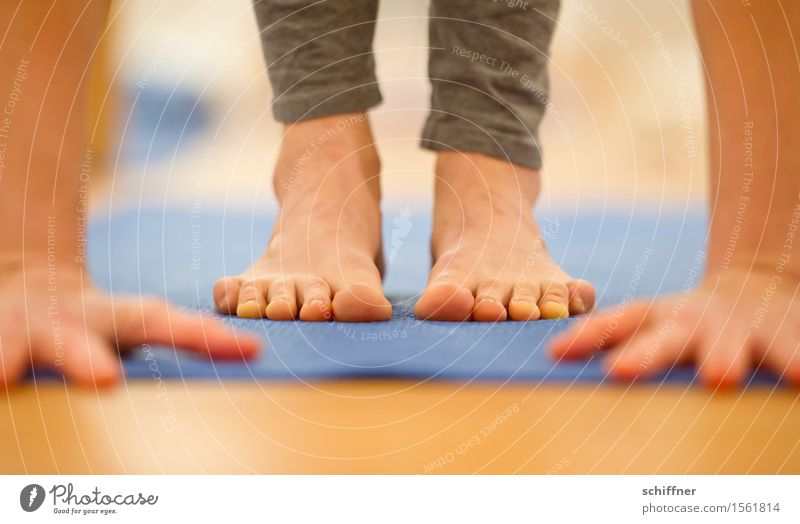 ...geschafft! Gesundheit Leben Wohlgefühl Erholung ruhig Meditation Freizeit & Hobby Sport Fitness Sport-Training Yoga Mensch Arme Hand Finger Fuß Zehen dünn