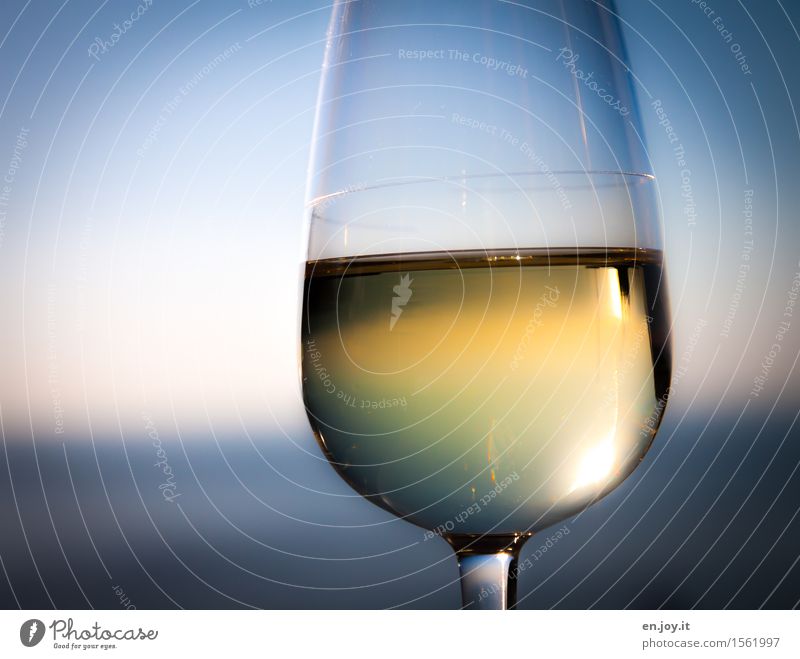 Wahrheit Getränk Alkohol Wein Sekt Prosecco Glas Weinglas Lifestyle Reichtum Gesundheit Gesunde Ernährung harmonisch Erholung Ferien & Urlaub & Reisen