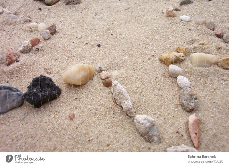 sternzacke! Strand Sandkorn sternezacke Stein