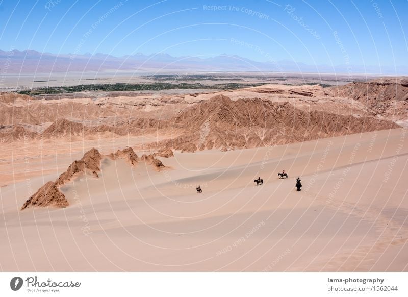 Wüstenritt III Reiten Ausritt Ferien & Urlaub & Reisen Ausflug Abenteuer Ferne Expedition Sand Felsen Salar de Atacama Oase Düne San Pedro de Atacama