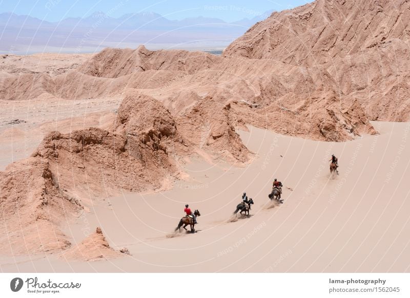 Wüstenritt II Reiten Ausritt Ferien & Urlaub & Reisen Ausflug Abenteuer Ferne Expedition Sand Felsen Salar de Atacama Düne Región de Antofagasta