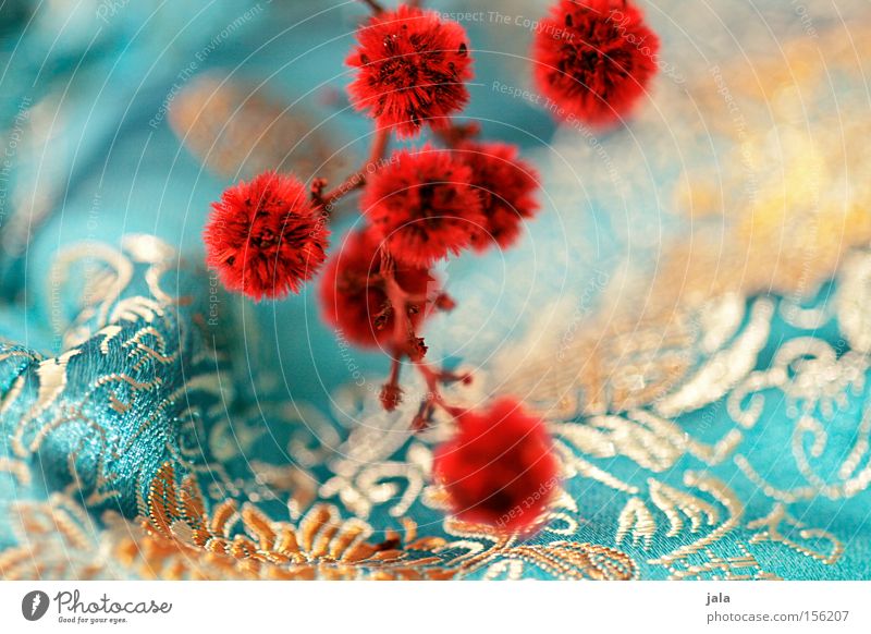 im fernen osten II Pflanze Blume Zweig Trockenblume Asien Quaste rot gelb Spielen Stoff Dekoration & Verzierung türkis