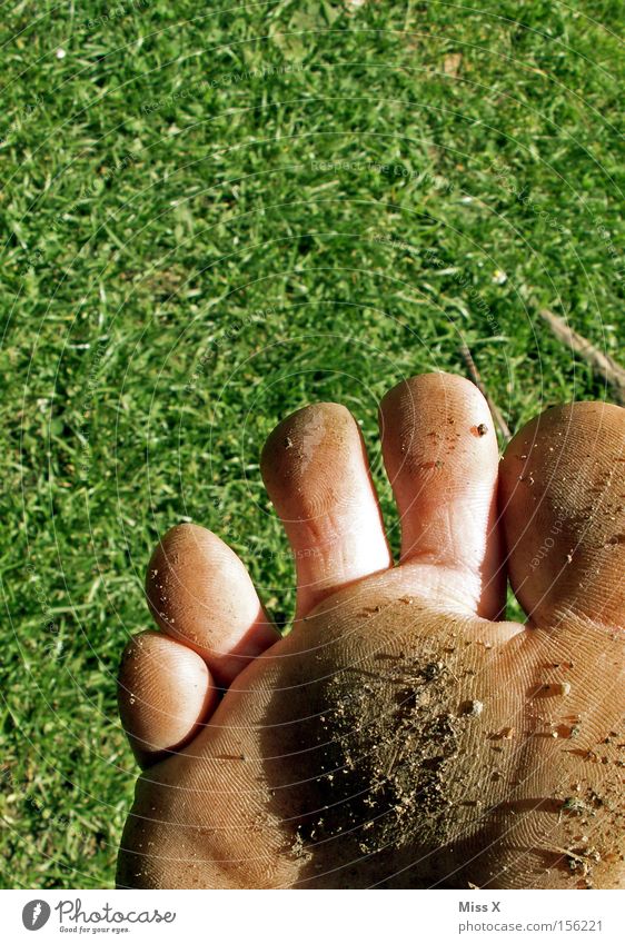 Dreckfuß Farbfoto Außenaufnahme Pediküre Sommer Fuß Wärme Gras Wiese Stein dreckig Schlamm Barfuß Zehen steinig Naturpfad Fußmassage