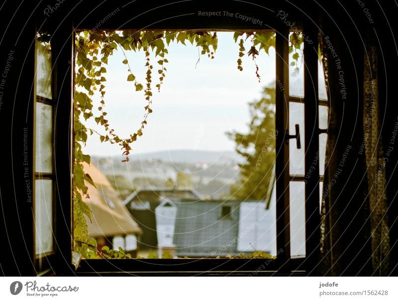 Guten Morgen Landschaft Garten Fenster hell Einsamkeit Erholung Ferien & Urlaub & Reisen ländlich Pflanze Ranke Dorf Sächsische Schweiz aufwachen lüften Windzug
