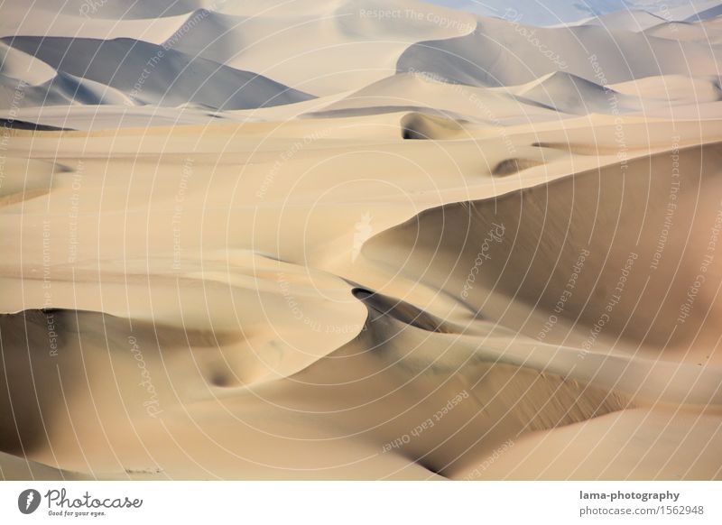 Sandhäufchen Ferien & Urlaub & Reisen Abenteuer Ferne Sommerurlaub Landschaft Wüste Sahara Düne Huacachina Peru Südamerika Afrika Menschenleer Farbfoto
