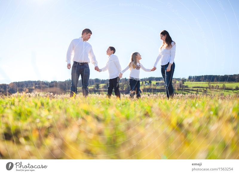 glückliche Familie zu viert Hand in Hand auf dem Feld Mensch Familie & Verwandtschaft 4 Umwelt Natur Schönes Wetter Freundlichkeit Fröhlichkeit frisch