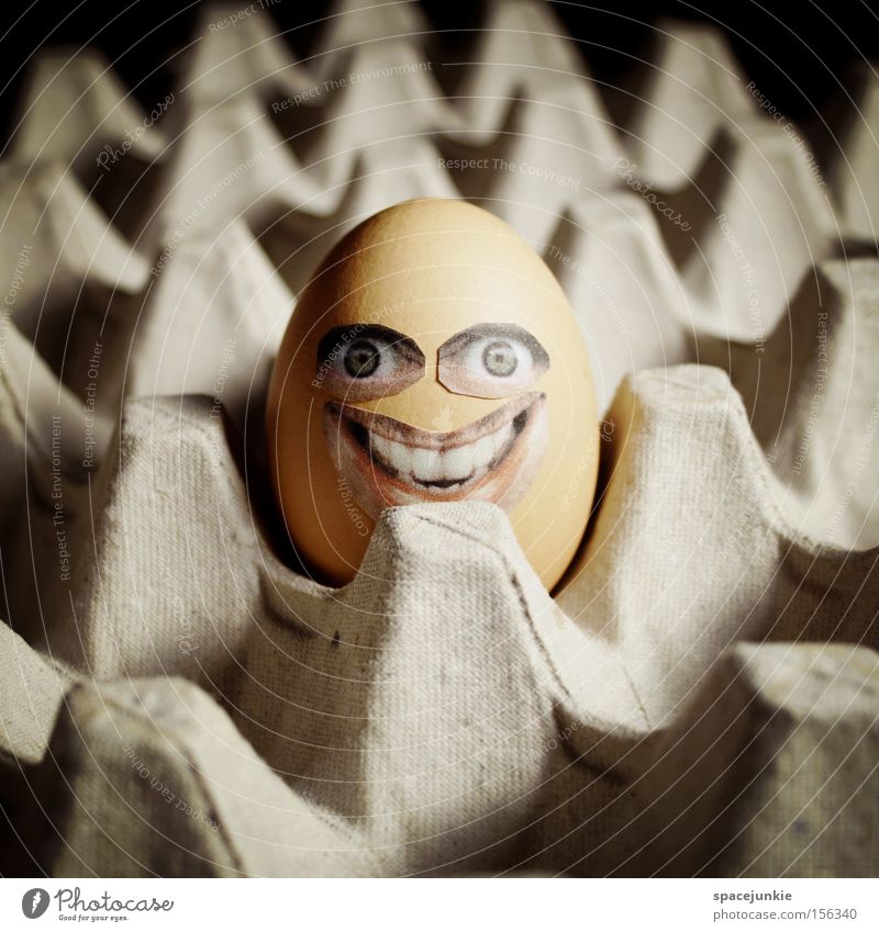 Happy egg Ei Eierschale Karton Verpackung Pappschachtel Eigelb Ostern Gesicht grinsen lachen skurril Freude