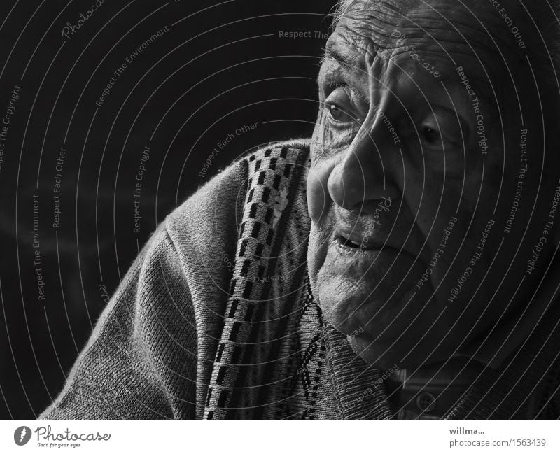 Der Erzählmeister. Porträt eines Senioren Männlicher Senior Alter Gesicht Ruhestand Mann Großvater alt Kommunizieren Religion & Glaube hören zuhören