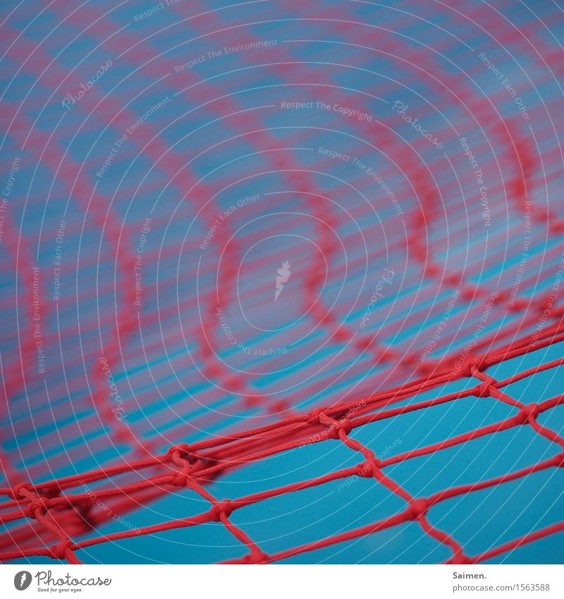 Netzwerk Linie blau rot Strukturen & Formen Wellenlinie geknüpft Knoten Halt Muster Farbfoto mehrfarbig Außenaufnahme Nahaufnahme Detailaufnahme Menschenleer