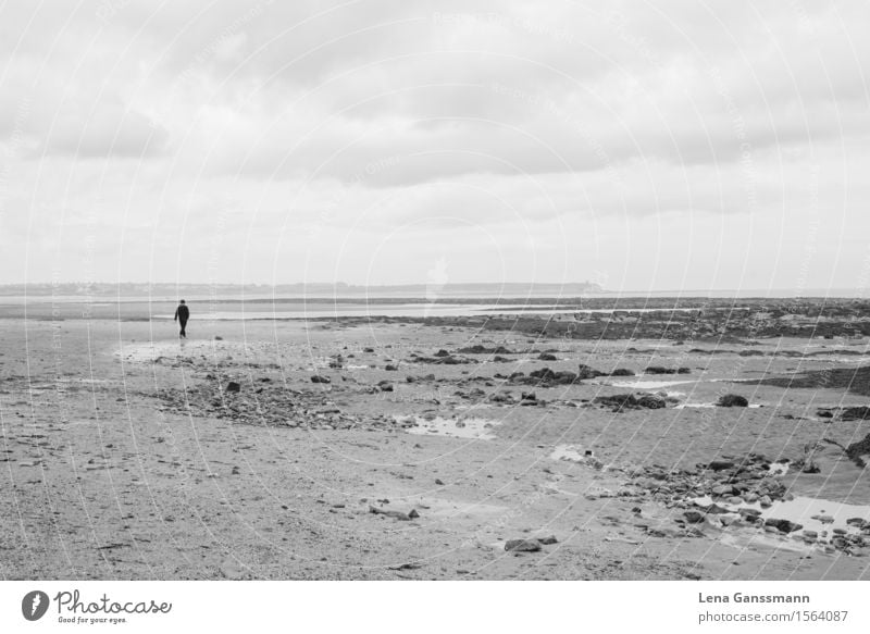 Einsame Figur am Strand in Nord England maskulin Mann Erwachsene 1 Mensch 18-30 Jahre Jugendliche Umwelt Natur Sand Wasser Himmel Wolken Küste Nordsee atmen
