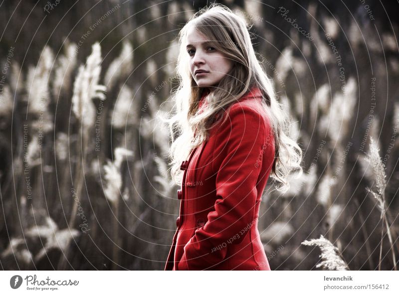 Mädchen schön Frau Erwachsene rot Roggen mystisch Beautyfotografie roter Engel rot in gelb Farbfoto