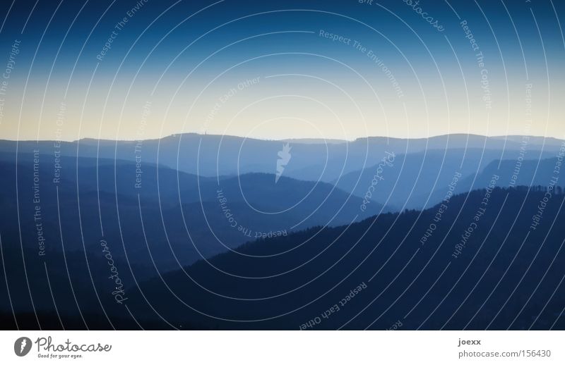 FLY LIKE AN EAGLE Berge u. Gebirge Erholung Ferne Fernweh Himmel Horizont Landschaft Natur Nebel Schwarzwald Sonnenuntergang Ferien & Urlaub & Reisen Wald