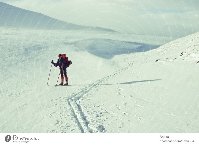 Aus der Spur geraten - Skifahrer auf Bergtour in Norwegen Abenteuer Winterurlaub Berge u. Gebirge Wintersport Skifahren Mensch Junge Frau Jugendliche Landschaft