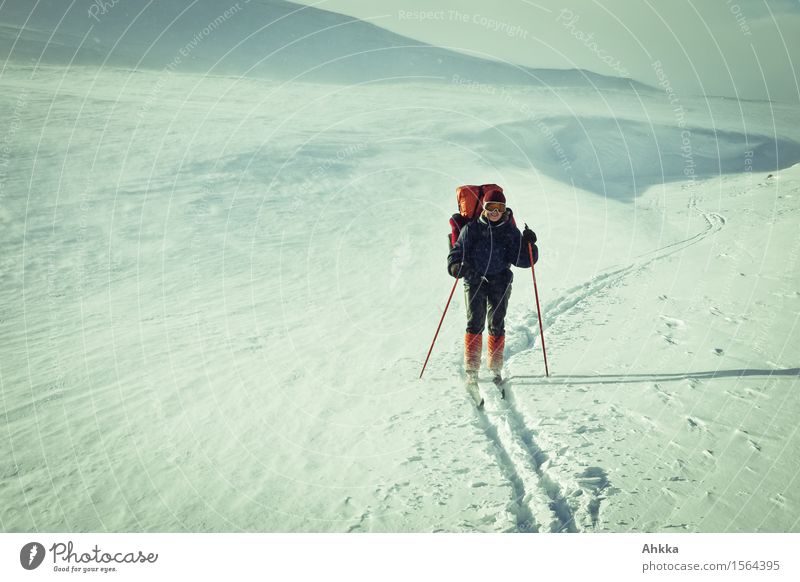 Skiwanderin auf Abenteuer in arktischer Winterlandschaft Expedition Winterurlaub Mensch feminin Junge Frau Jugendliche Leben 1 Natur Landschaft Eis Frost Schnee