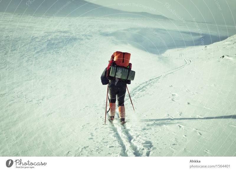 Skifahrerin in arktischer Schneelandschaft Ferien & Urlaub & Reisen Abenteuer Expedition Winterurlaub Mensch Leben 1 Natur Landschaft Eis Frost Bewegung machen