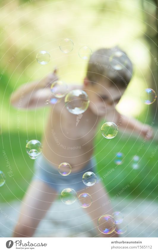 Junge hat Spaß mit Seifenblasen Freude Spielen Kinderspiel Sommer Sommerurlaub Geburtstag Kindererziehung Mensch maskulin Kindheit Leben 1 3-8 Jahre Umwelt
