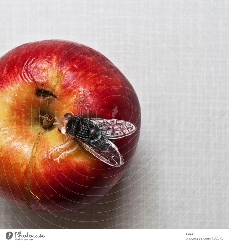 Obstfliege Lebensmittel Frucht Apfel Ernährung Bioprodukte Vegetarische Ernährung Diät Freizeit & Hobby Tisch Fliege Dekoration & Verzierung Kunststoff lecker