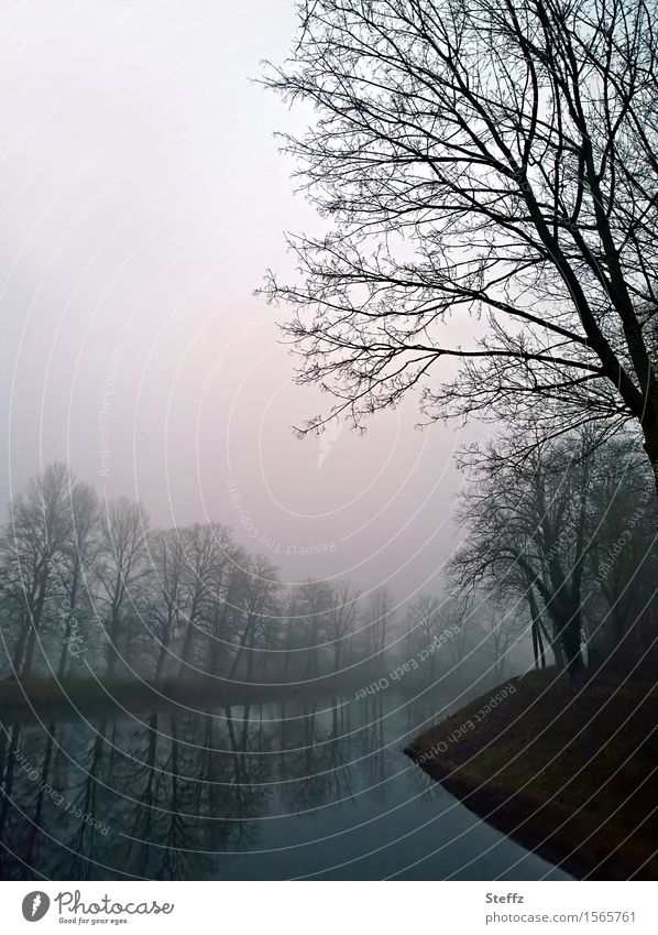 Stille im Nebel nebliger Fluss nebliger Tag neblige Landschaft Flussufer Nebelstimmung nordisch heimisch Niedersachsen verträumt Ruhe dunkel trist Tristesse